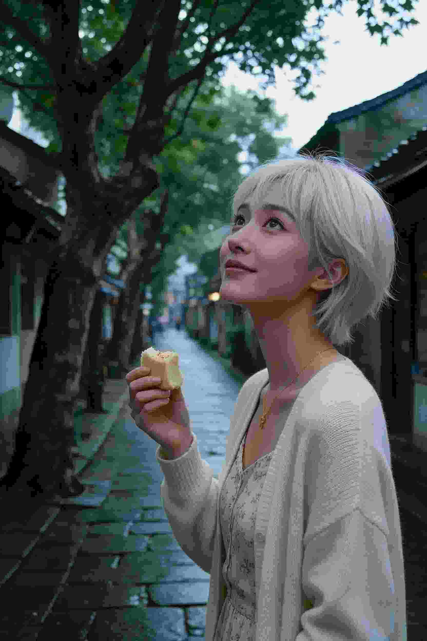 梦幻之旅