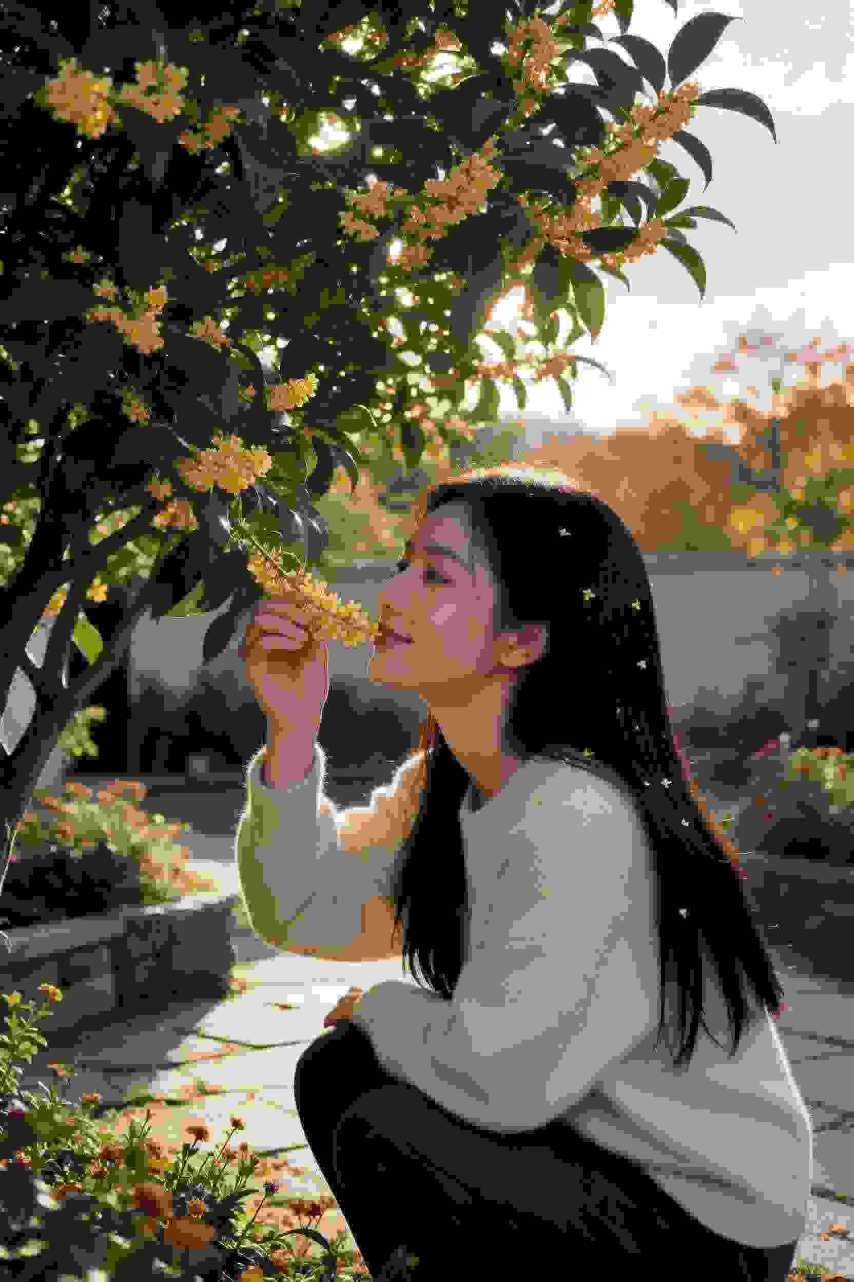 媳妇的诱惑
